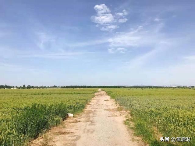 【原创小说连载《路回》】八回李氏操劳险成疾柳乡花苗惨遭毁