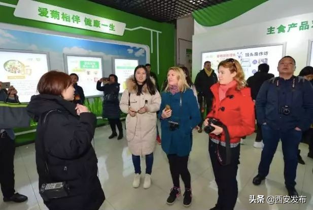 西安市的未来十年发展规划,西安大力发展三个经济指什么