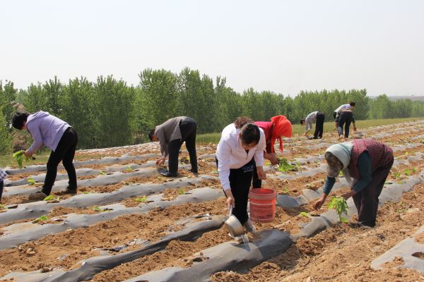 濠氬悗濡堝鐨勭埍鏈夊鍗戝井,濠氬悗濡堝鐨勫灞堜笌鏃犲