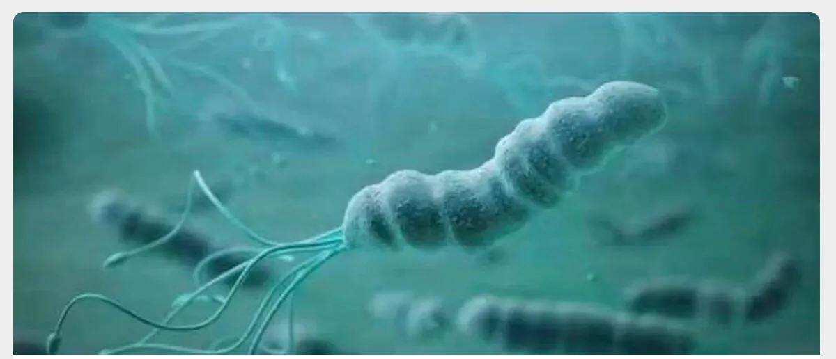 胃食管反流与咳嗽变异性哮喘区别,根除hp治疗的指征和治疗方案