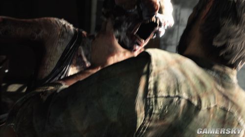 主机端美国末日,美国末日主机画质