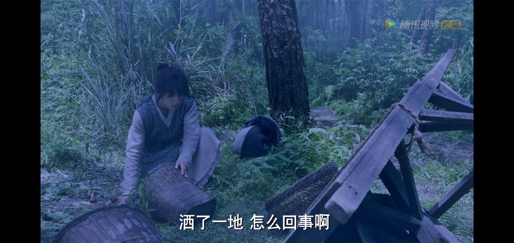 单日*放播**量破亿、被人民日报表扬的《斗罗大陆》到底质量如何？