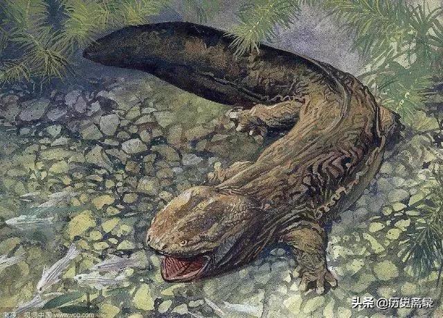 揭秘山海经的所有神兽,山海经75种神兽图片大全