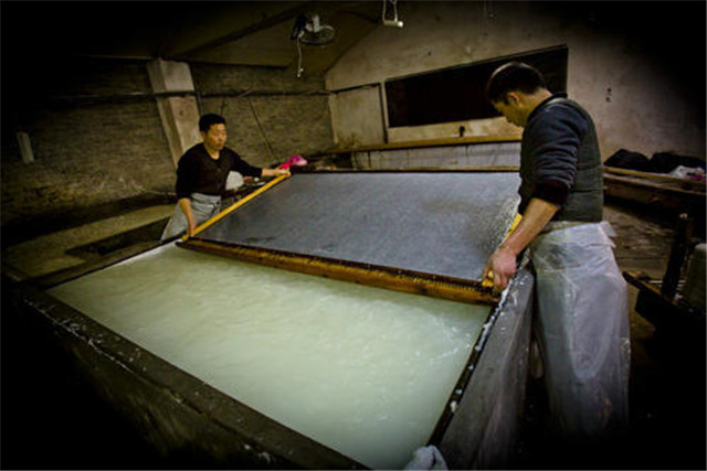 白岩松评价深度阅读,我们为什么需要阅读白岩松