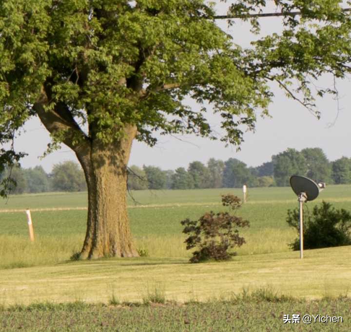 索尼相机的直出效果真的不行吗,索尼相机4k超彩和4k有什么区别
