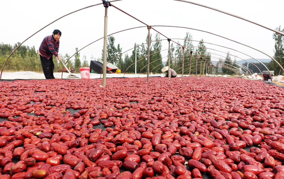 市场分析:曾经“高贵”的*疆新**大红枣如今为何贱卖?