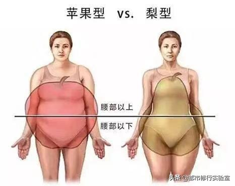 减肚子和内脏脂肪最快方法,减内脂减内脏脂肪最有效的方法