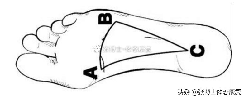 「译文分享」深蹲时你在用足跟发力吗?