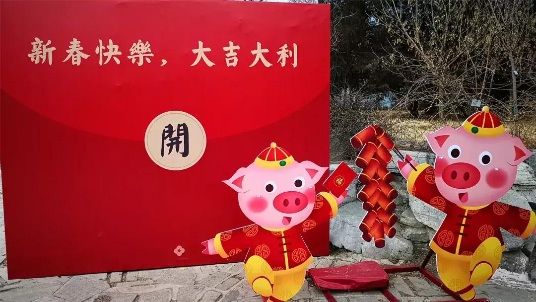 美美美！海淀这个地儿，万株兰花惊艳来袭，你招架的住吗？