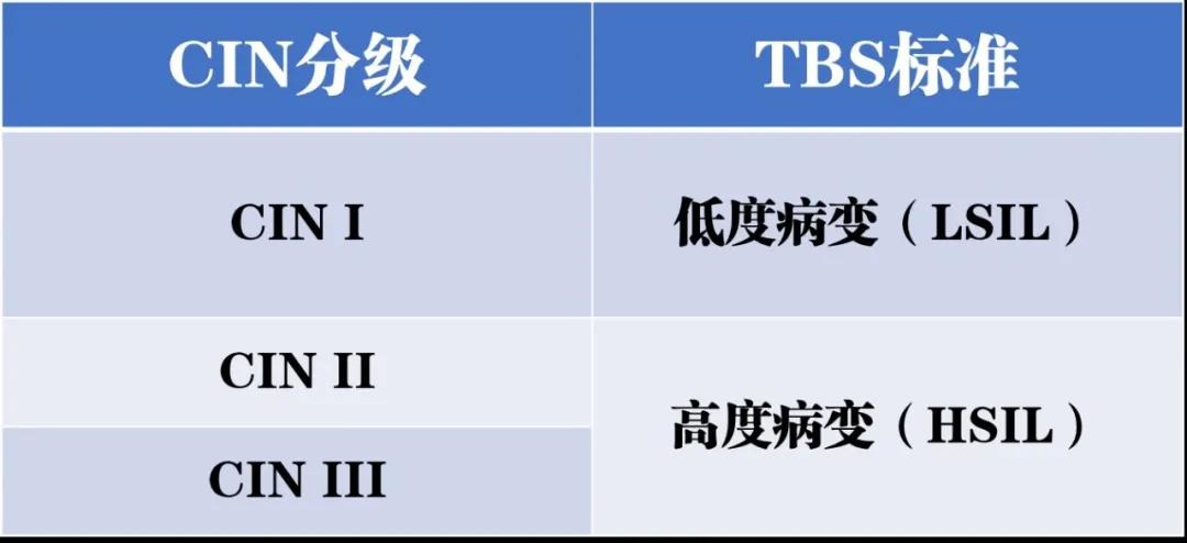 女性健康宫颈科普新闻,如何预防宫颈病变科普视频