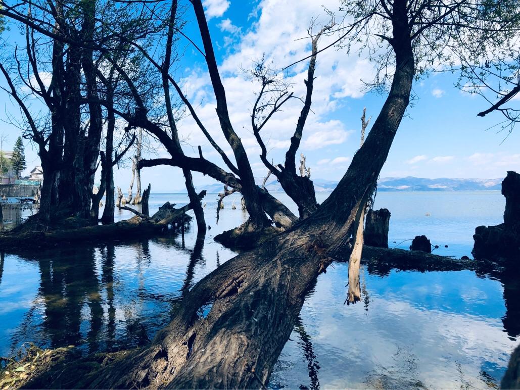 大理环海西路有哪些景点,你向往去的地方