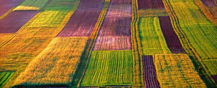 什么是“软乡村”、“酷农业”？