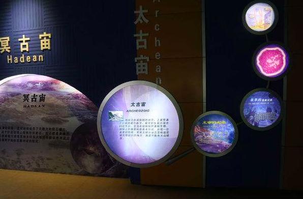 沈树忠简介,沈树忠浙江讲座