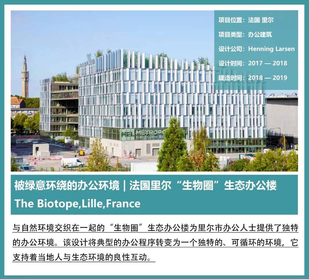 被绿植包围的大楼,被绿植围绕的空间