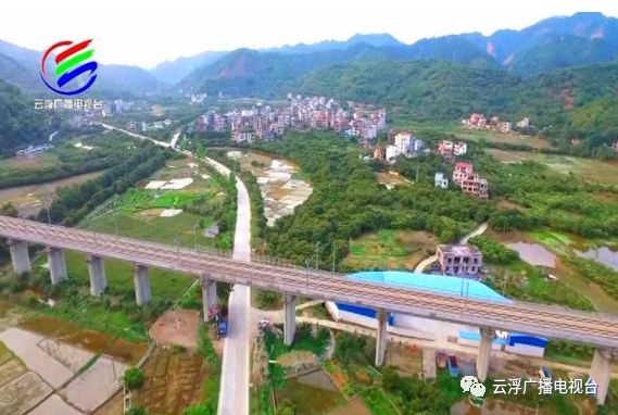 多彩云浮丨美“荔”宝珠，东进融湾