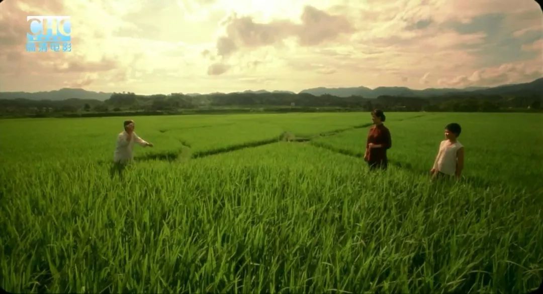 日本票房6亿的中国电影,国内票房破49亿