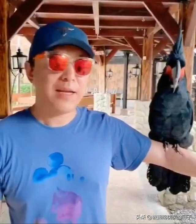 最顶级的鹦鹉多少钱,价格最低的鹦鹉