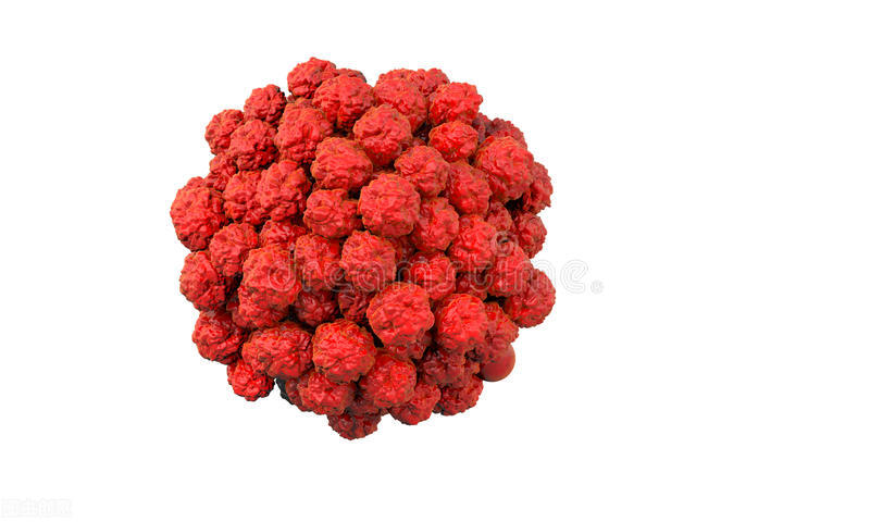 女性肛内hpv怎么检测,hpvdna检测怎么检测