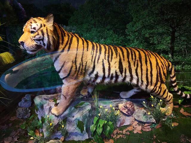 深圳暑假推荐地方,深圳适合高中生参观的地方