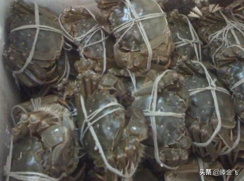 海螃蟹怎样保存时间长新鲜,冰箱螃蟹怎么保存才新鲜