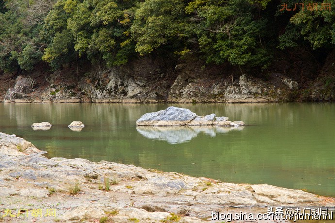 京都岚山风景区在哪,京都岚山樱花