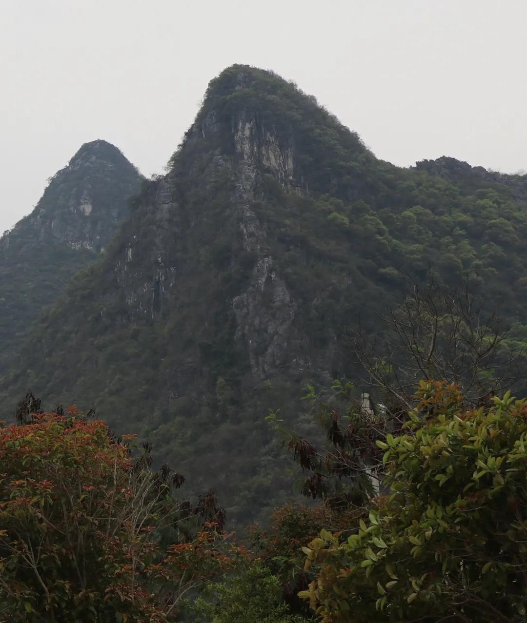 一位农民作家眼中的乡村变迁,一个老农眼中的春晚