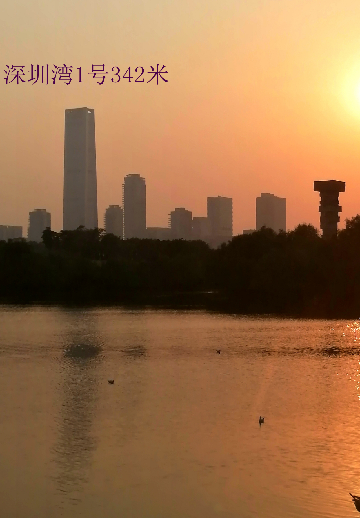 把深圳高楼放一起多震撼,深圳市摩天楼世界第一