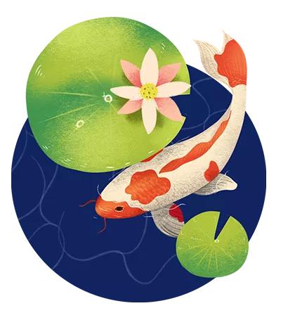 怎么让锦鲤运气好,锦鲤怕人怎么办小妙招