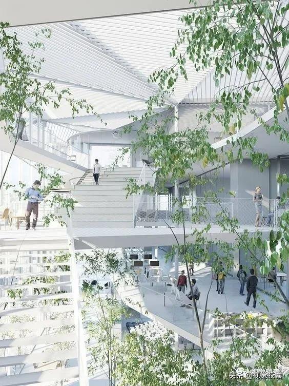 乡村蔬菜大棚的设计,蔬菜精美设计图片