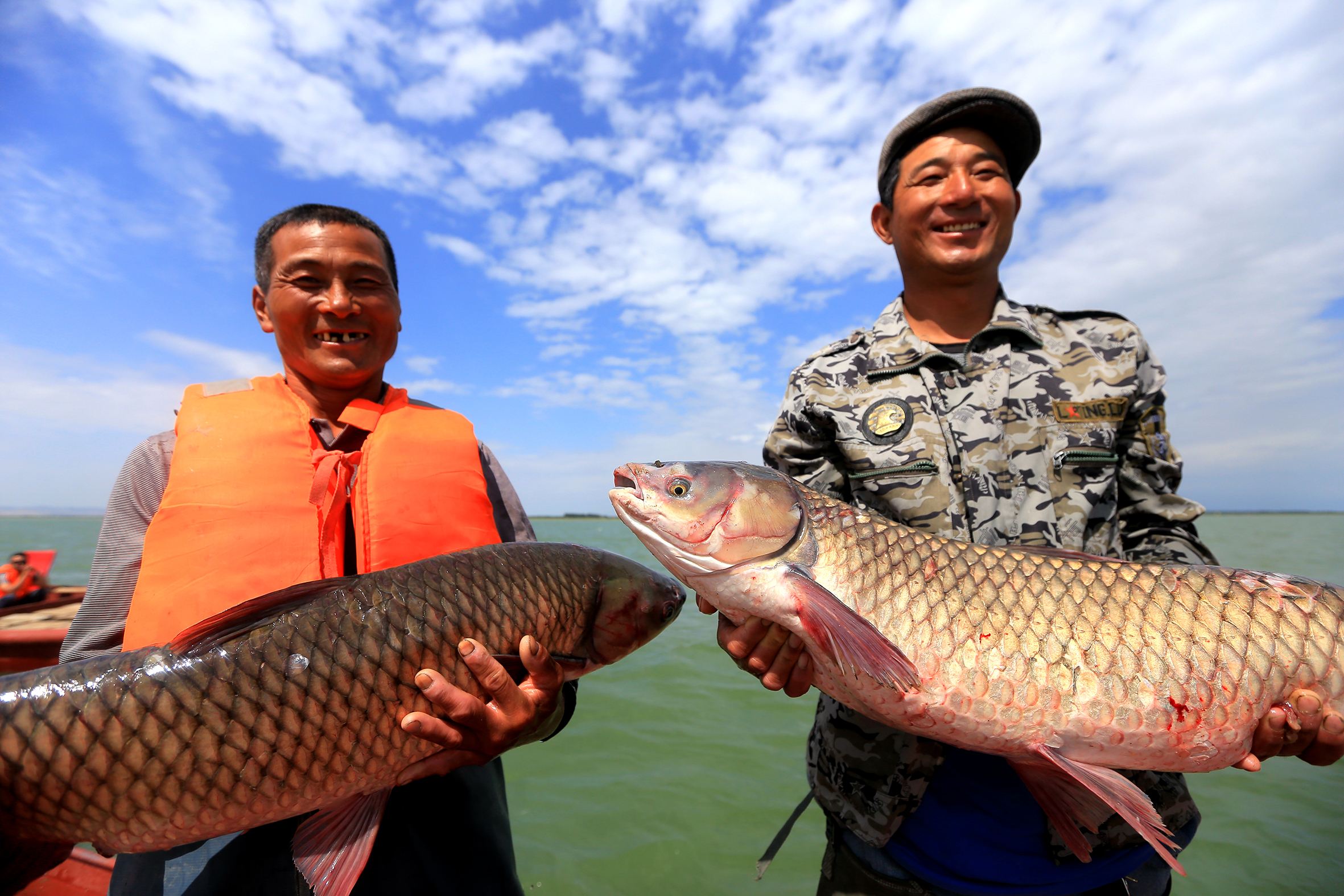 钓草鱼的黄金季,钓鲢鳙鱼的黄金季节
