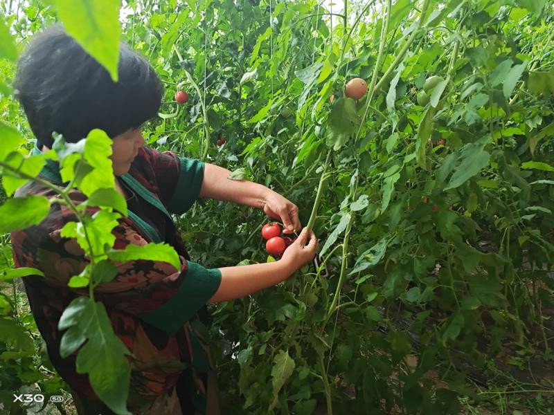 秋天的第一波大“瓜”终于藏不住了