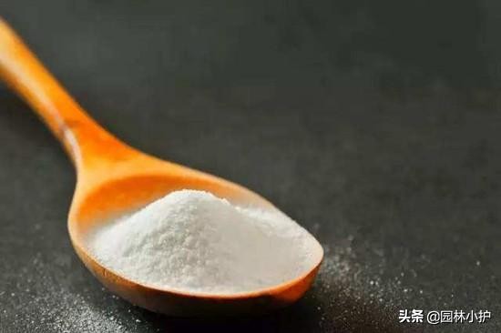 花盆里撒一把它根不烂叶不黄,花盆里撒点料花草再也不长虫