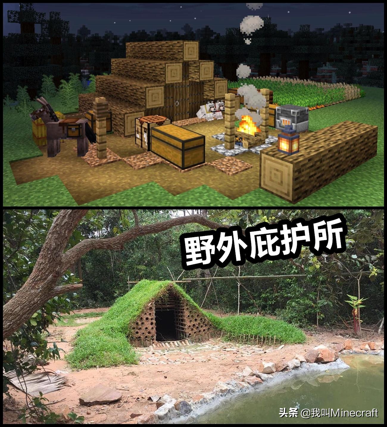 小伙在原始森林活了半个月,小伙在原始森林呆了19天