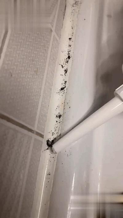 经验分享去日本必囤的4个好物,不去日本也要买的5个好物