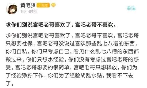 速生鸡与白羽鸡是什么,白羽鸡养殖技术和方法图解