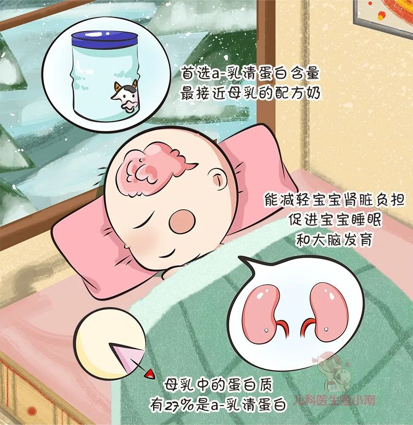 奶粉的选购技巧,如何正确挑选一款好奶粉