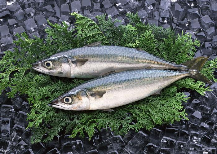 减脂期间肉可以用什么代替,减脂期间鸡胸肉代替品