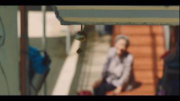 这剧太上头！已经9.1分了，收视暴涨