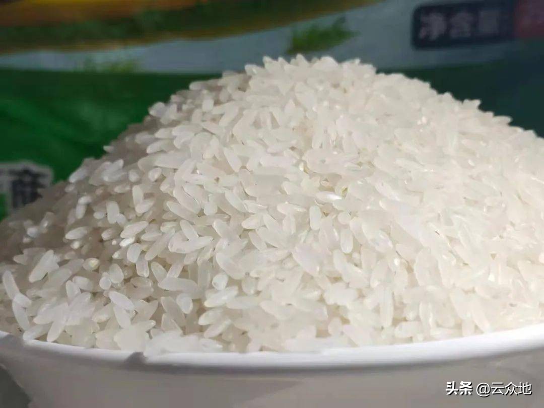 稻米直链淀粉测定,稻米中什么含量最多