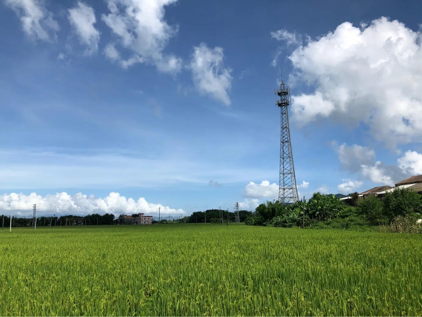 下川岛三天两夜旅游攻略,下川岛3天两夜旅游攻略