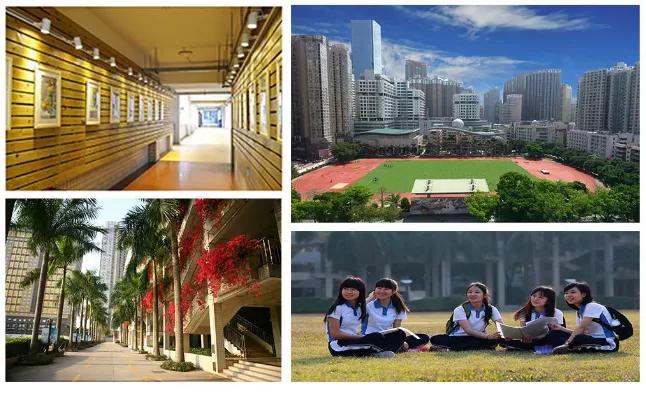 2024年深圳中考学校介绍,关于深圳中学中考的最新消息