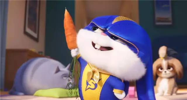 「内有赠票」被小动物萌翻,《爱宠大机密2》赶紧带上孩子去看吧