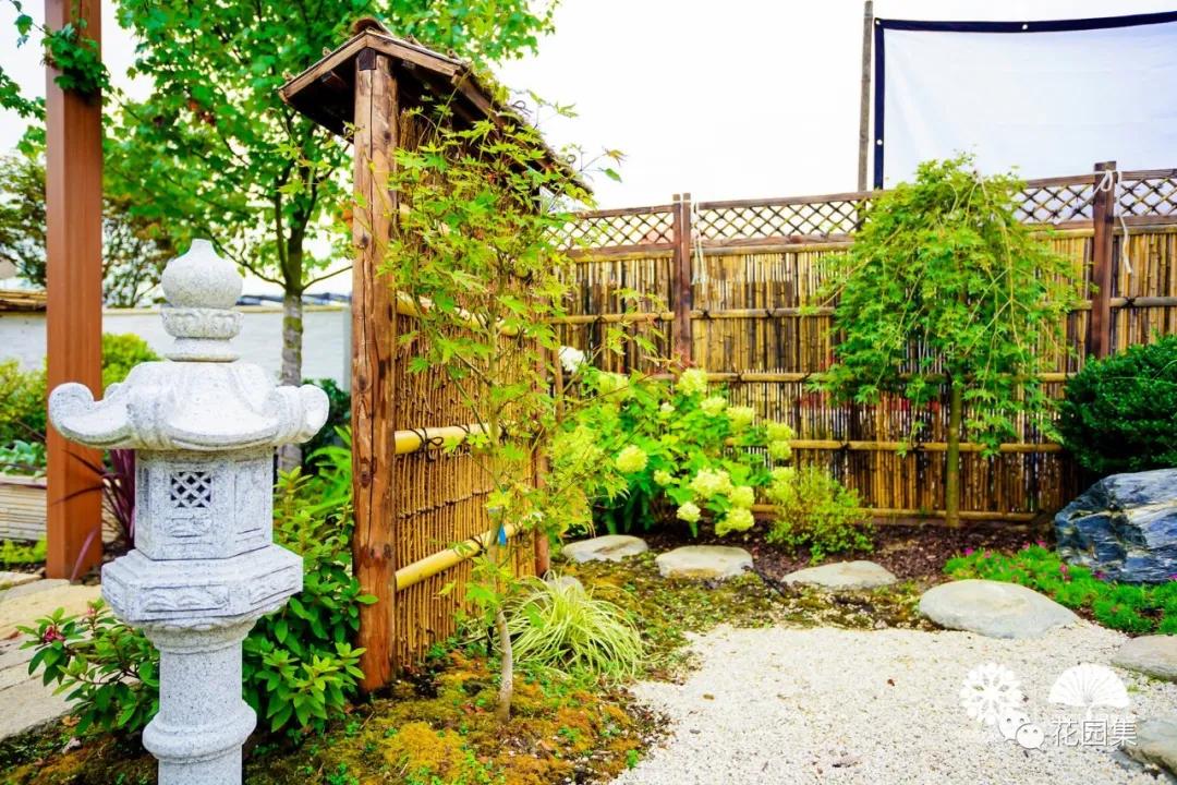 鑺卞洯鐩涘涔愯嚦,鑺卞洯鐩涘瀹屾暣