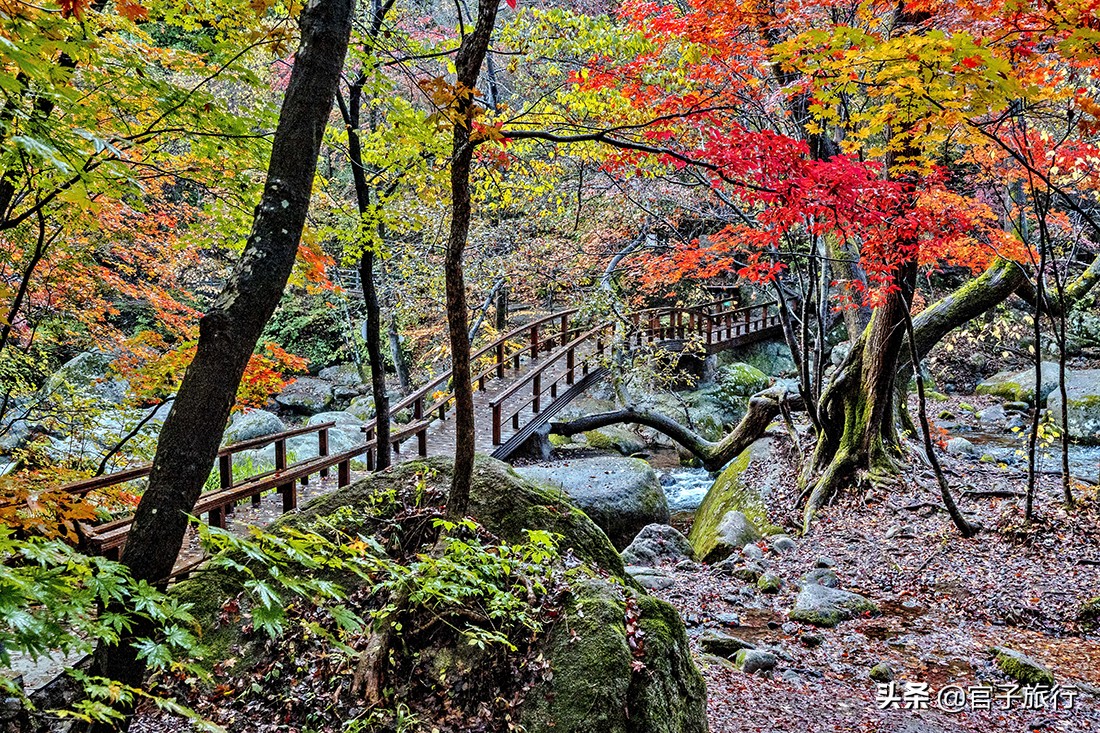 中华枫叶之路自驾游攻略,中华枫叶大道自驾游路线
