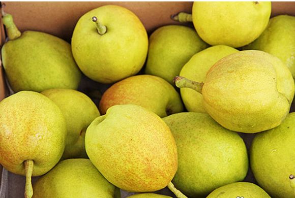 全国各地最全特产,全新疆特产