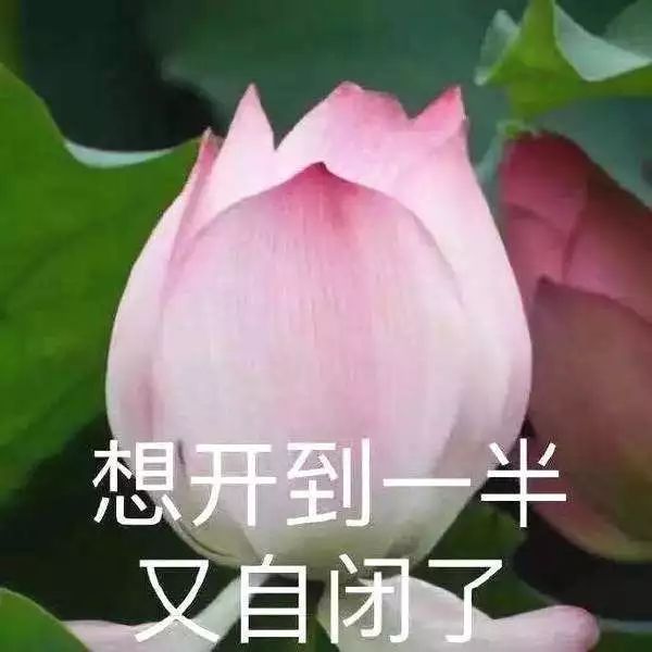 范冰冰微商,范冰冰有没有回归娱乐圈