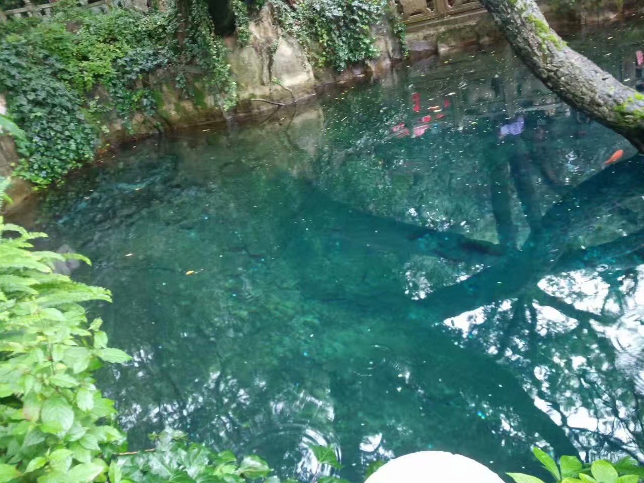 云南贵州之旅,云南蝴蝶泉之游