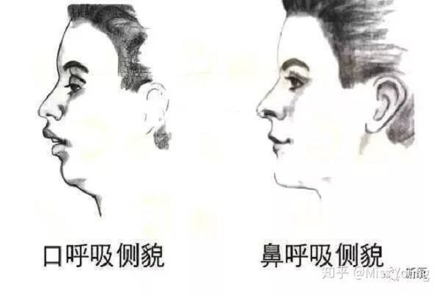 如何通过呼吸锻炼心肺,运动正确的呼吸模式