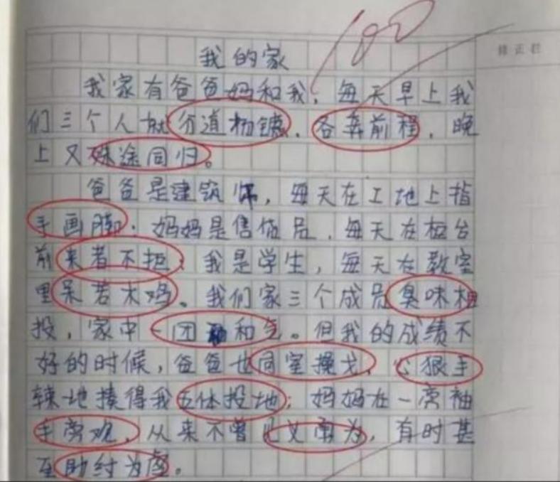 小学生作文《我的小姨》,揭露小姨漂亮的真相,小姨看后追着打