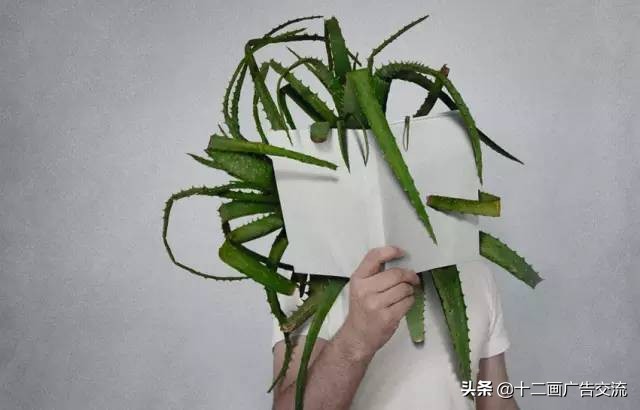 无创意手机摄影图片,无创意极简主义摄影